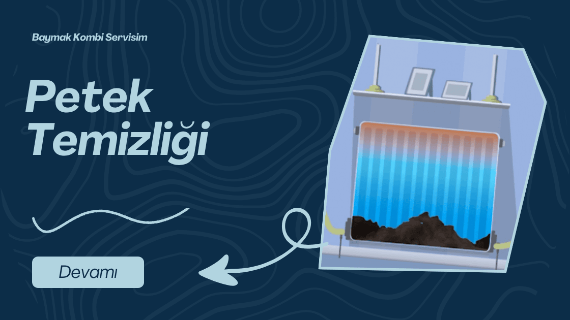 Petek Temizliği Ne Zaman Yapılır?